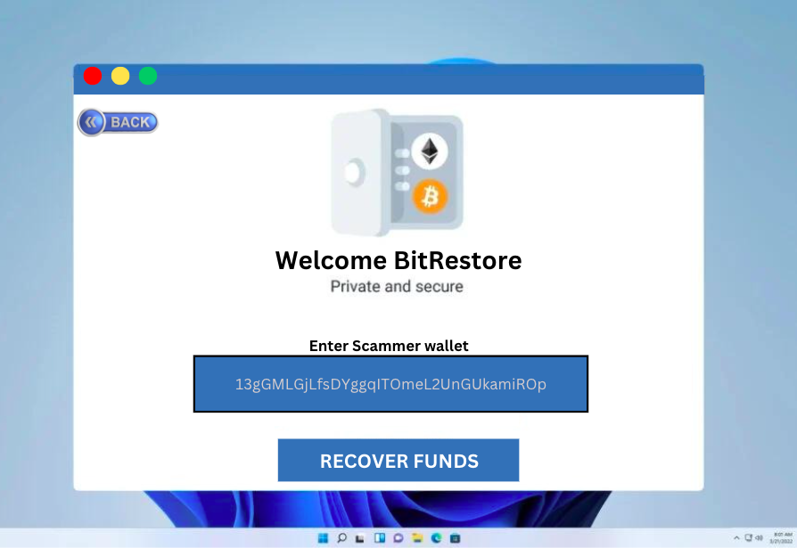Crypto Recovery Software